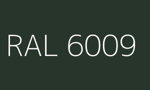 Farbe RAL 6009