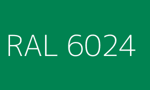 Farbe RAL 6024